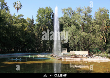 Parque Mexico (Messico Park), Colonia Condesa, La Condesa, un quartiere alla moda, Città del Messico, Messico, America del Nord Foto Stock