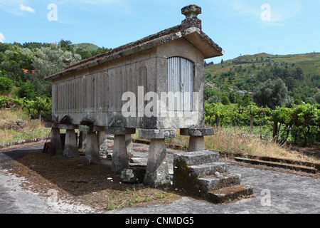 Tradizionale pietra elevata granaio (espigueiro), utilizzata per la memorizzazione di mais, vicino al villaggio di Soajo, Minho, Portogallo, Europa Foto Stock