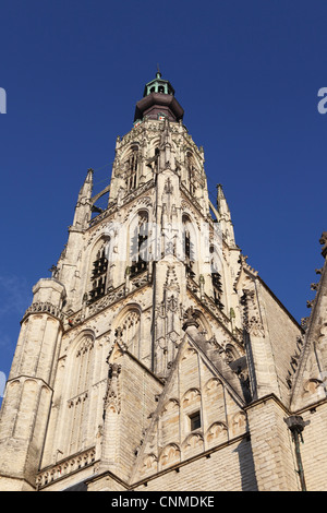 Guglia di tardo gotici Grote Kerk (Onze Lieve Vrouwe Kerk) (Chiesa di Nostra Signora) a Breda, Noord-Brabant, Paesi Bassi, Europa Foto Stock