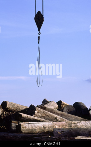 Legname lungo il fiume del Amazon. Iquitos, Provincia di Loreto, Perù. Foto Stock