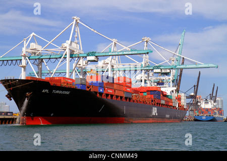 Miami Florida,Biscayne Bay,Dodge Island,Porto di Miami,nave container cargo,gru,FL120331272 Foto Stock