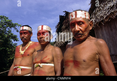 Matsés uomini della Jaguar clan con faccia tribali tattoo e pittura. Fiume Chobayacu, Provincia di Loreto, Perù. Foto Stock