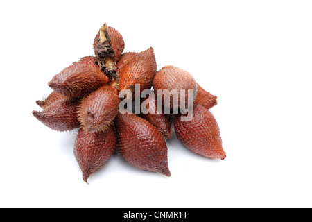 Rakum palm , frutta frutta Zalacca Foto Stock