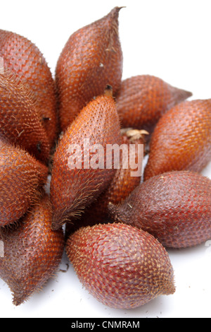 Rakum palm , frutta frutta Zalacca Foto Stock