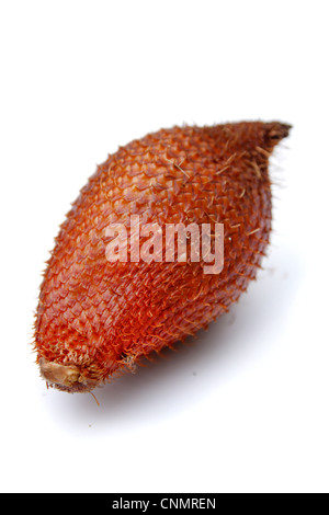 Rakum palm , frutta frutta Zalacca Foto Stock