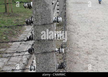 Elettrico di filo spinato nel campo di concentramento di Auschwitz, Foto Stock