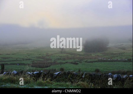 Brocken spectre visto hilltop viene visualizzato quando il sole splende dietro la persona che guardando verso il basso picco di cresta nebbia nebbia Jeffrey Hill Longridge Foto Stock