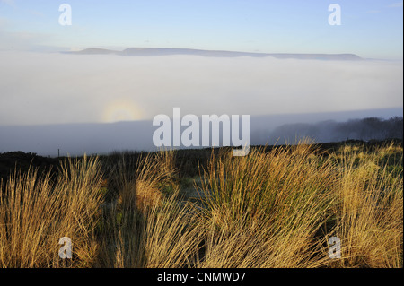 Brocken spectre visto hilltop viene visualizzato quando il sole splende dietro la persona che guardando verso il basso picco di cresta nebbia nebbia Jeffrey Hill Longridge Foto Stock