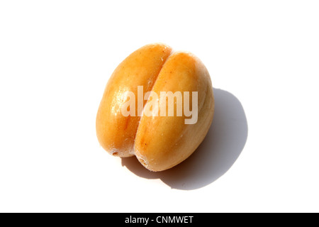 Rakum palm , frutta frutta Zalacca Foto Stock