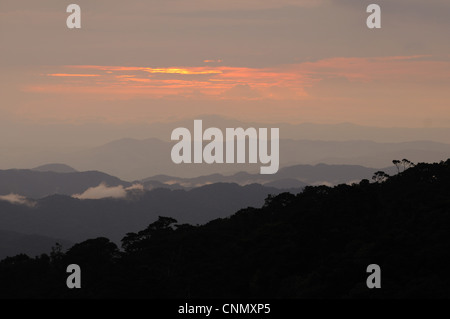 Vista della catena montuosa stagliano al tramonto, guardando dal picco Bigugu, Nyungwe Foresta N.P., Ruanda, dicembre Foto Stock