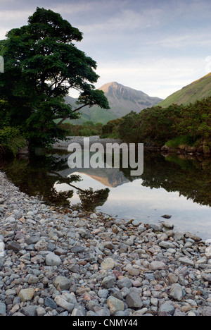 Portraite fotografia di grande timpano nel Parco Nazionale del Distretto dei Laghi Foto Stock