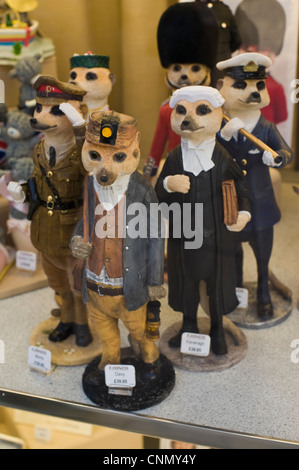 Novità MEERKATS in vendita nella finestra del negozio nel centro della città di Hereford Herefordshire England Regno Unito Foto Stock