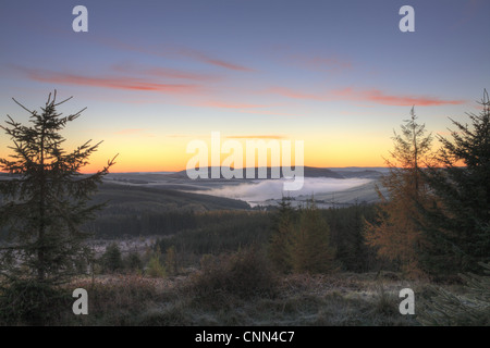 Vista sul serbatoio nella nebbia all'alba, Llyn Clywedog, Hafren Forest, POWYS, GALLES, ottobre Foto Stock