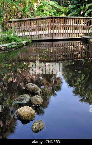 Tranquillo laghetto con rocce e ponte a Washington Oaks Gardens parco dello stato Foto Stock