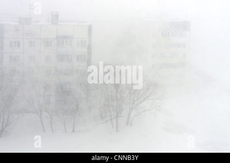 L'inverno. Blizzard nevicata in Russia, Sakhalin Yuzhno-Sakhalinsk. bassa visibilità, il cumulo di neve. Strade e stradine coperte di neve Foto Stock