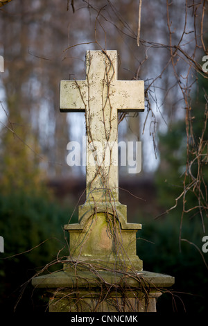 Xix secolo vintage lapide con semplice croce impigliata con liane al cimitero di Varsavia, Polonia Foto Stock