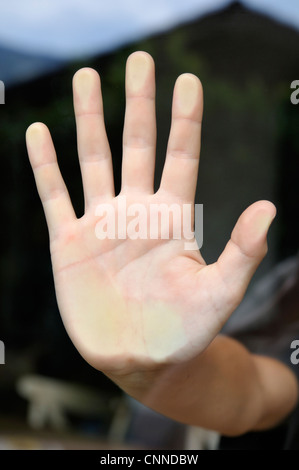 Close-up del palmo della mano, alpi, Francia Foto Stock