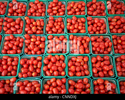 Pomodori ciliegia a St Jacobs Mercato degli Agricoltori, St Jacobs, Ontario, Canada Foto Stock