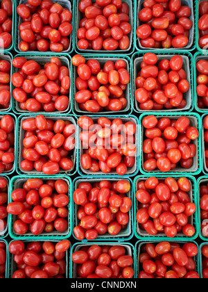 Pomodori ciliegia a St Jacobs Mercato degli Agricoltori, St Jacobs, Ontario, Canada Foto Stock