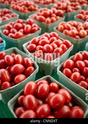 Pomodori ciliegia a St Jacobs Mercato degli Agricoltori, St Jacobs, Ontario, Canada Foto Stock