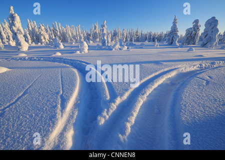 Kuusamo, Pohjois-Pohjanmaa, Provincia di Oulu, Finlandia Foto Stock