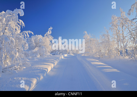 Strada innevata, Liikasenvaara, Pohjois-Pohjanmaa, Finlandia Foto Stock