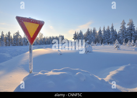 Segno di resa nella neve, Kuusamo, Pohjois-Pohjanmaa, Finlandia Foto Stock