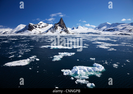 Pack di ghiaccio nel fiordo Hornesund in estate il sole, Spitzbergen, Svalbard artico, Norvegia, Europa Foto Stock