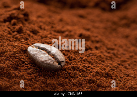 Un solitario chicco di caffè su un cumulo di caffè fresco motivi Foto Stock