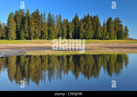 Oderteich, Sankt Andreasberg, Goslar, Harz, Bassa Sassonia, Germania Foto Stock