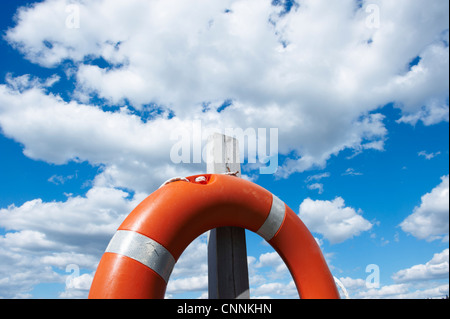 La boa appeso sul palo di legno Foto Stock