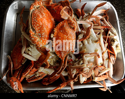 Gamberi cotti al vapore , thai seafood , koh sukon(Isola di maiale), Trang, nel sud della Thailandia Foto Stock