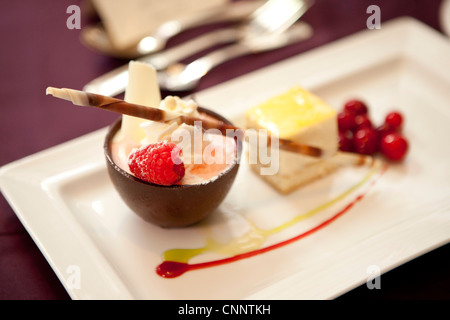 Il dessert di mousse di cioccolata in tazza con piazza al limone e guarnire al lampone Foto Stock