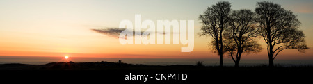 Sunrise tramonto sopra le colline di Quantock in Inghilterra, Panorama. Red orange sky con la nuvola piccola bilanciare il gruppo di alberi Foto Stock
