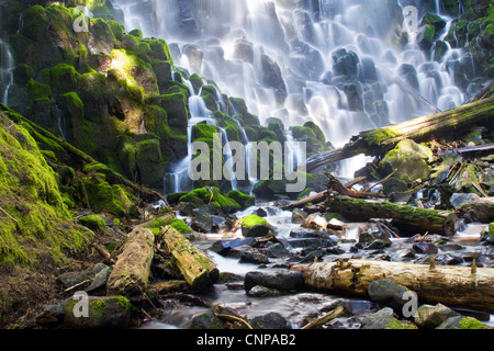 Ramona Falls si trova in Oregon Mt Hood National Forest Foto Stock