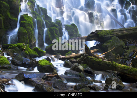 Ramona Falls si trova in Oregon Mt Hood National Forest Foto Stock