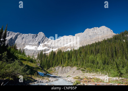 Tumbling Creek sul sentiero di Rockwall, Kootenay Parco Nazionale del Canada, British Columbia, Canada Foto Stock