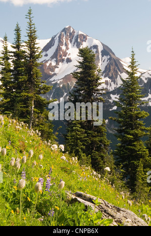 Montagna fissili dal Monte Blackcomb, Whistler, BC, Canada. Foto Stock