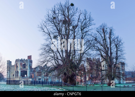 Le rovine del castello di Cowdray in Cowdray Park, Midhurst, West Sussex di prima mattina con la brina sulla terra e alberi di lime Foto Stock