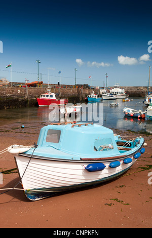 Regno Unito, Inghilterra, Devon, Paignton, barche da diporto ormeggiata in porto Foto Stock