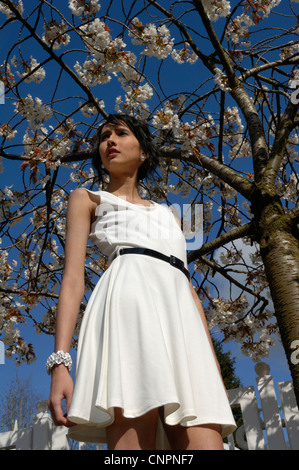 Moda modello 'Kittiwara' in una crema Sara Belted Dress Skater da BooHoo Foto Stock