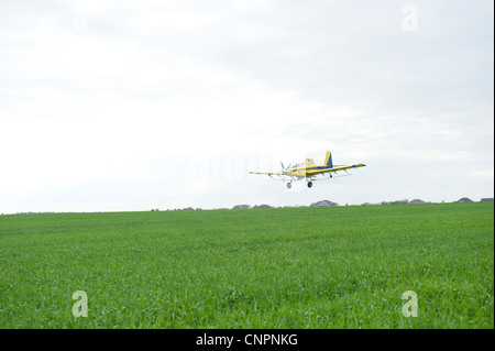 Crop duster spruzzatura di campo di grano nel centro di Oklahoma Foto Stock