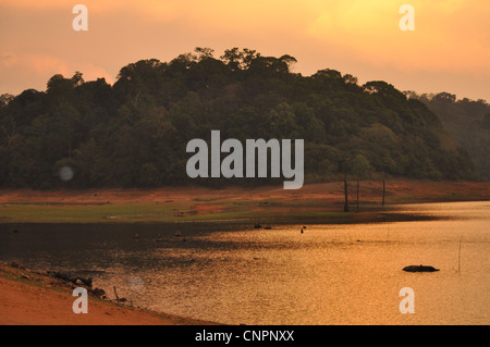 Set di sole sopra il serbatoio alla diga Mullaperiyar, in thekkady wild life santuario, Kerala, India Foto Stock