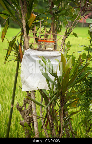 Un piccolo tempio di stand dove le offerte sono fatte per il riso Balinesi dea Dewi Sri. Qui si vede in Ubud, Bali, Indonesia. Foto Stock