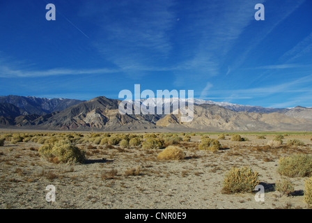 Alta deserto e montagne bianche, Nevada Foto Stock