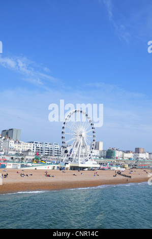 Vista completa della ruota di Brighton, Brighton East Sussex, Inghilterra Foto Stock