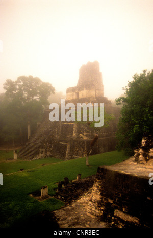 Tikal tempio del II visto da nord acropoli su una mattinata nebbiosa. Foto Stock