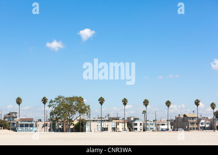 Long Beach California, Oriente e Ocean Boulevard fronte spiaggia case. Affacciato sulla spiaggia di sabbia, con alberi di palma. Foto Stock