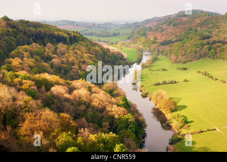 Symonds Yat, Foresta di Dean, fiume Wye, Gloucestershire, Sud Ovest Inghilterra England Foto Stock