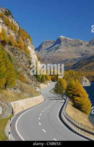 Strada di campagna, lago di Sils, Engadina nel Cantone dei Grigioni, Svizzera Foto Stock